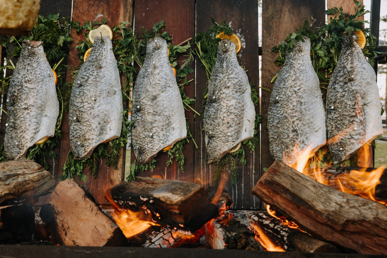 Bark Wood Fish Smoking Board